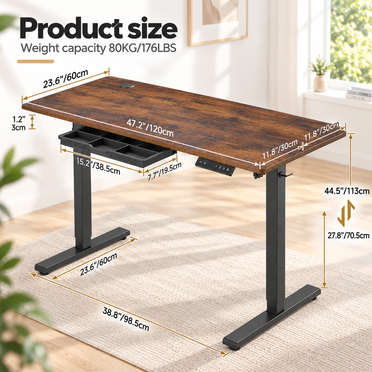 Anshine Electric Standing Desk 120 x 60cm – Height Adjustable Sit Stand Desk